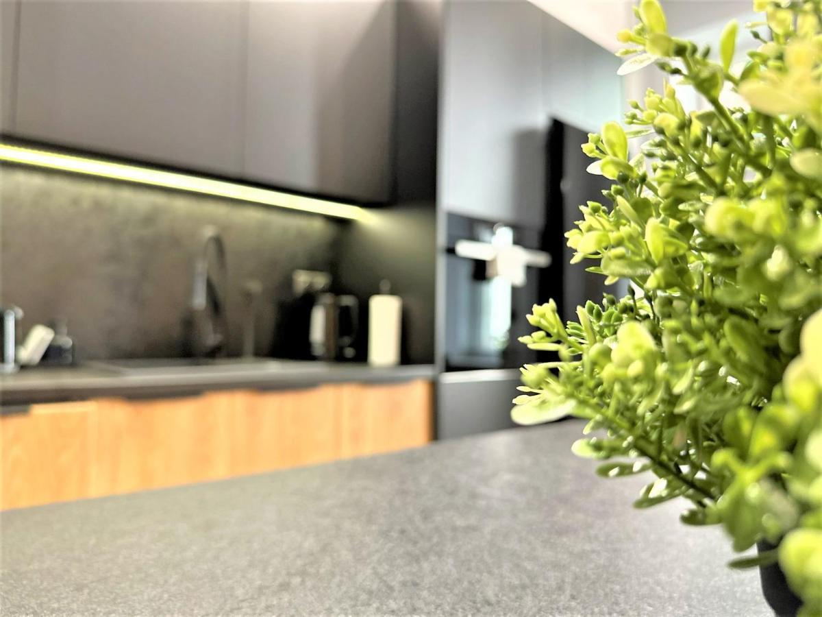 Luxury 100M2 Loft Design-Apartment At Wawel + Netflix Krakow Ngoại thất bức ảnh